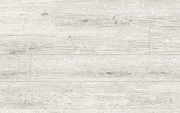 Classen Arteo Aqua Protect 8 M 62759 DUB NEGEW