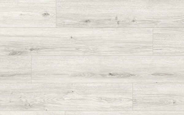 Classen Arteo Aqua Protect 8 M 62759 DUB NEGEW