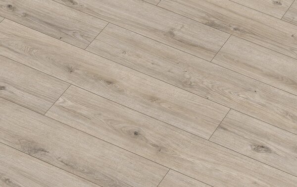 Classen Arteo Aqua Protect 8 M 62760 DUB ORDOS