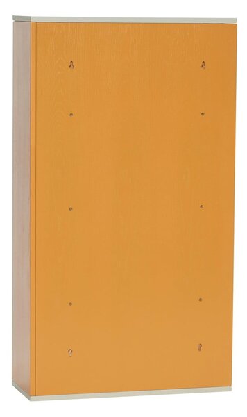 Oranžová nástenná knižnica z jaseňového dreva 60x109 cm Apollo – Hübsch