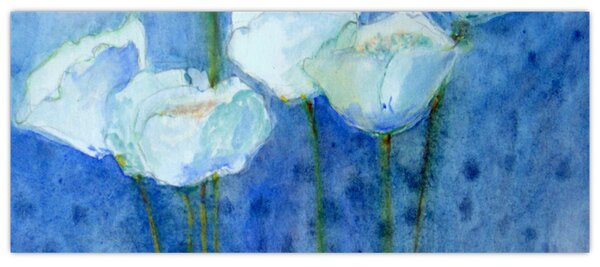Obraz - Biele tulipány (120x50 cm)