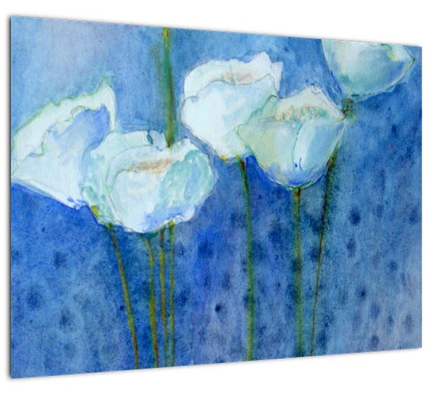 Obraz - Biele tulipány (70x50 cm)