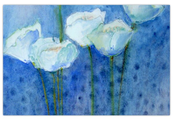 Obraz - Biele tulipány (90x60 cm)