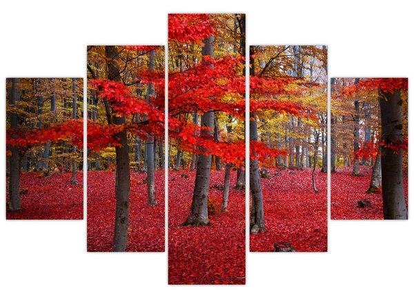 Obraz - Červený les (150x105 cm)