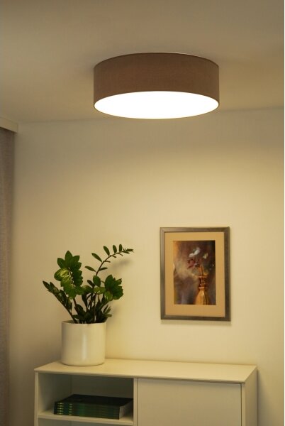 Duolla - LED Stropné svietidlo CORTINA LED/26W/230V pr. 30 cm 4000K hnedá