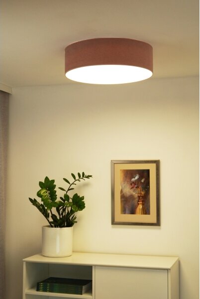 Duolla - LED Stropné svietidlo CORTINA LED/26W/230V pr. 30 cm 4000K ružová