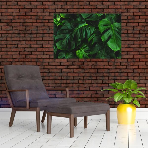 Obraz listov Monstery (90x60 cm)