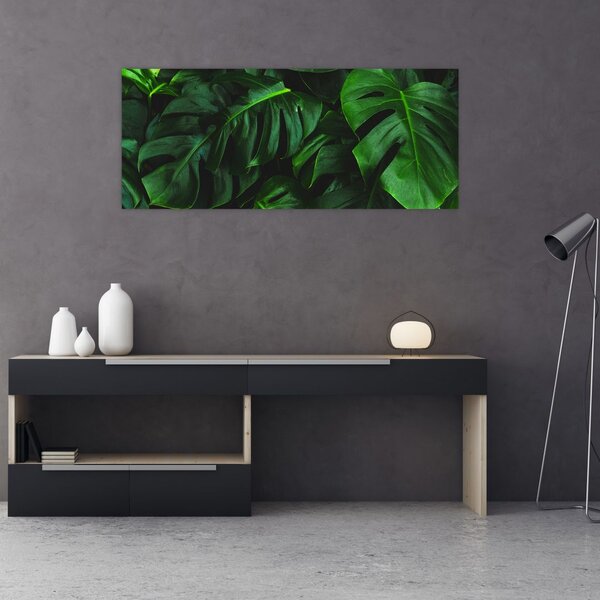 Obraz listov Monstery (120x50 cm)