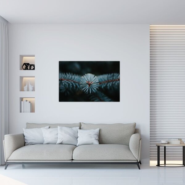 Obraz vetvičky ihličnatého stromu (90x60 cm)