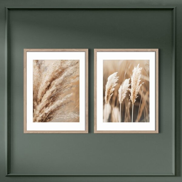 Obrazy v súprave 2 ks 30x40 cm Selloana – Styler