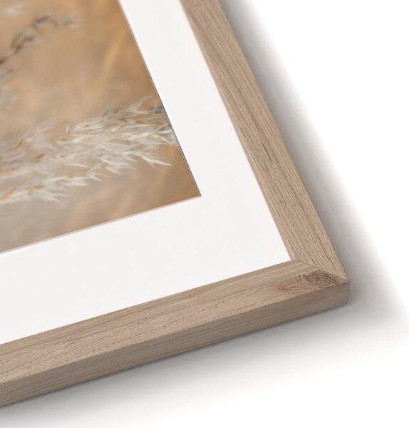 Obrazy v súprave 2 ks 30x40 cm Selloana – Styler