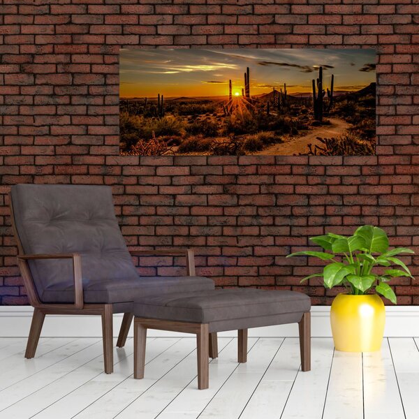 Obraz - Koniec dňa v arizonskej púšti (120x50 cm)