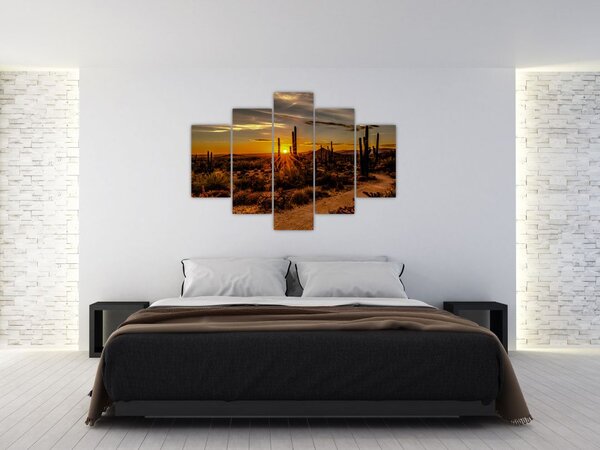 Obraz - Koniec dňa v arizonskej púšti (150x105 cm)