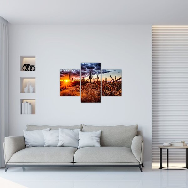 Obraz - Zlatá hodinka púšte (90x60 cm)