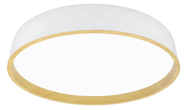 STROPNÉ LED SVIETIDLO, 50/8 cm - Interiérové svietidlá