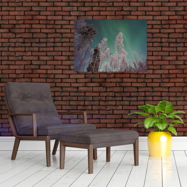 Obraz polárna žiara nad zamrznutými stromami (70x50 cm)