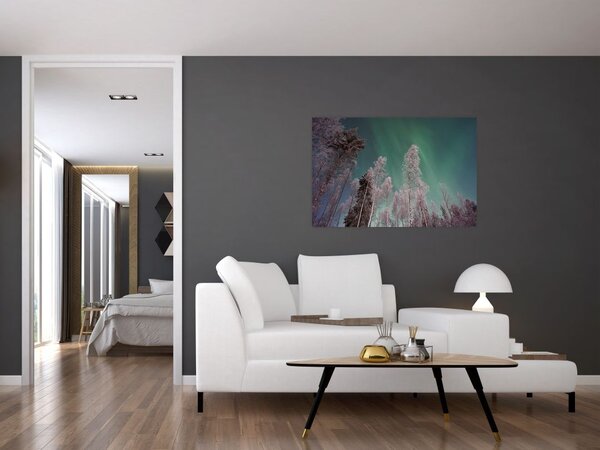 Obraz polárna žiara nad zamrznutými stromami (90x60 cm)