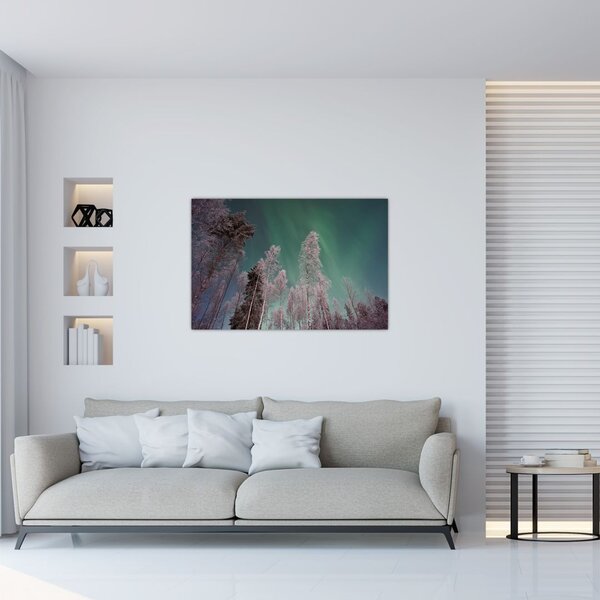 Obraz polárna žiara nad zamrznutými stromami (90x60 cm)