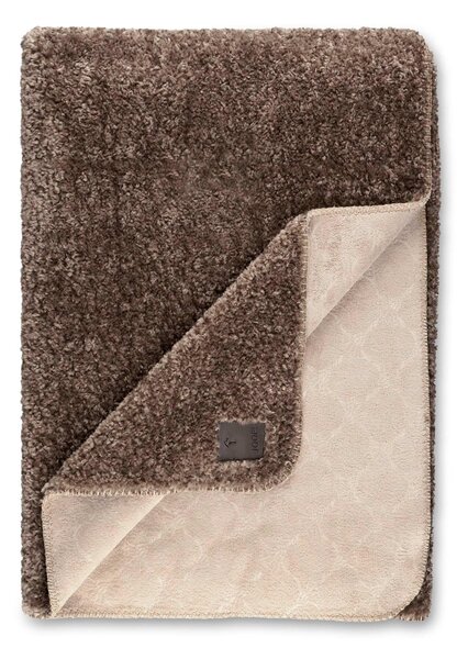 DOMÁCA DEKA, polyester, 140/200 cm Joop! - Textil do domácnosti