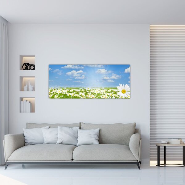 Obraz rozkvitnutej lúky s margarétkami (120x50 cm)