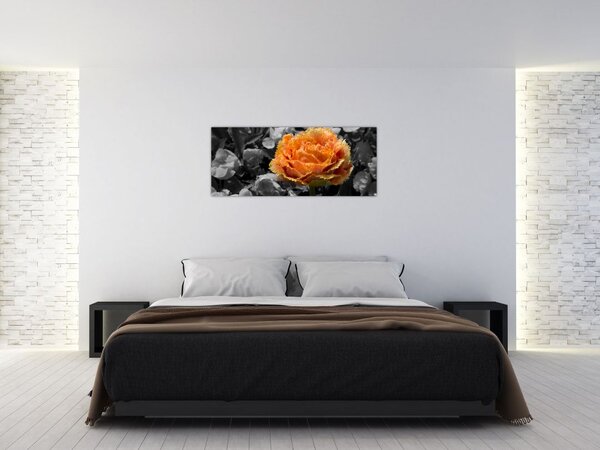Obraz kvetu (120x50 cm)