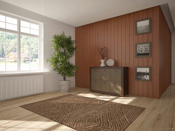 Alfa Carpets , Kusový koberec Ethno brown, 80x150, hnedá, obývacia izba