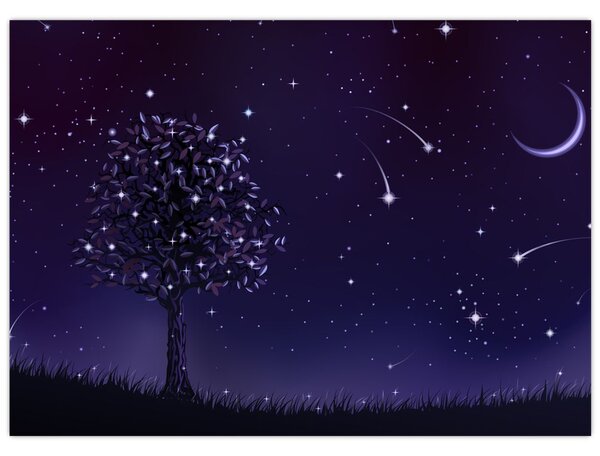 Obraz - Noc zachytená ilustrácou (70x50 cm)