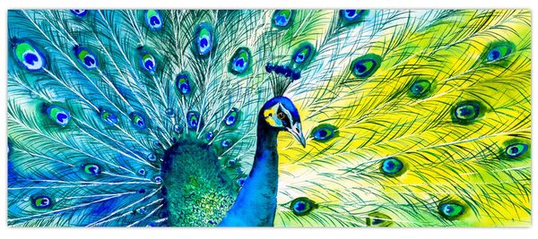 Obraz páva (120x50 cm)