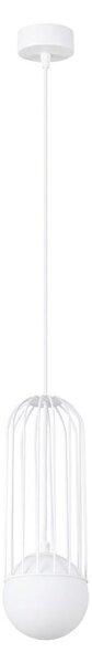 Sollux SL.1331 - Luster na lanku BRINA 1xG9/8W/230V biela