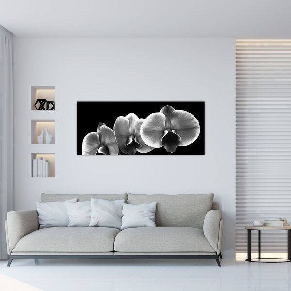 Obraz kvetu orchidey (120x50 cm)