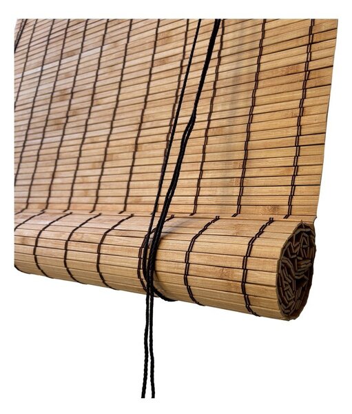 Bambusová roleta v prírodnej farbe 60x160 cm Zeva – Gardinia