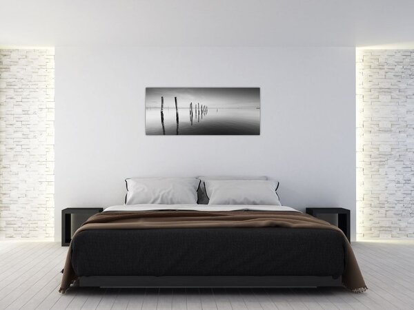 Obraz čiernobielej vodnej hladiny (120x50 cm)