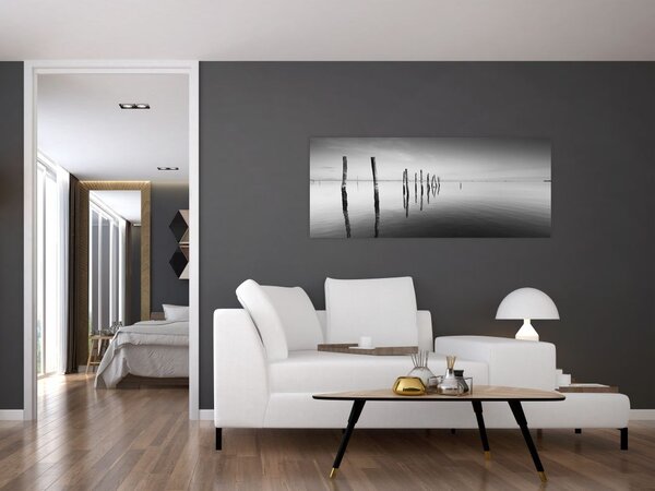 Obraz čiernobielej vodnej hladiny (120x50 cm)