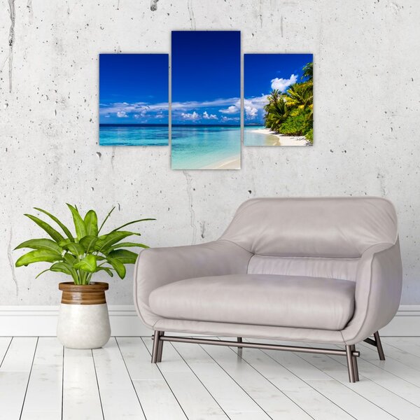 Obraz tropickej pláže (90x60 cm)