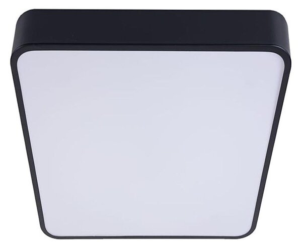 LED Stropné svietidlo FELIZ LED/50W/230V 4000K 40x60 cm čierna