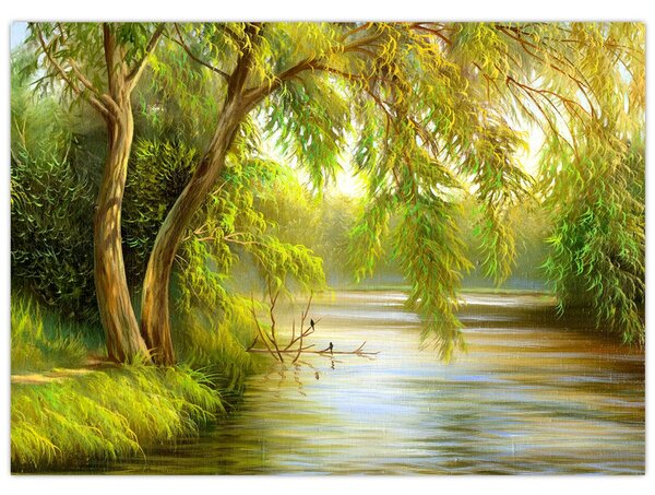 Obraz - Vŕba pri jazere, olejomaľba (70x50 cm)
