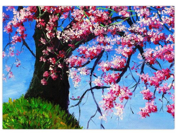 Obraz maľované rozkvitnuté čerešne (70x50 cm)