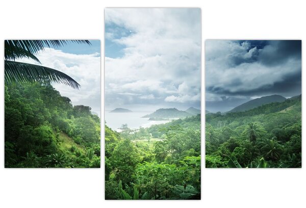 Obraz - Seychelská jungle (90x60 cm)