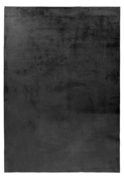 BEHÚŇ, 80/300 cm grafitová Kayoom - Online Only bytové doplnky, Online Only