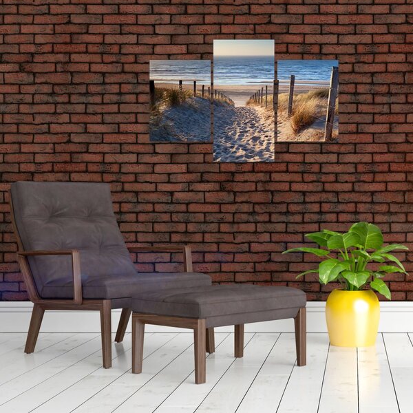 Obraz - Cesta k pláži Severného mora, Holandsko (90x60 cm)
