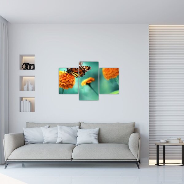 Obraz motýľa (90x60 cm)