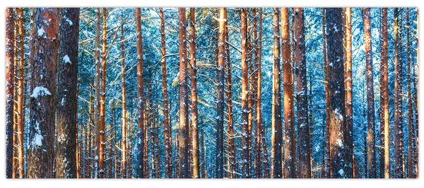 Obraz - Zimný les (120x50 cm)