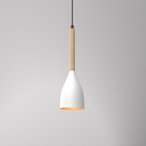 Luster na lanku MUZA 1xE27/60W/230V