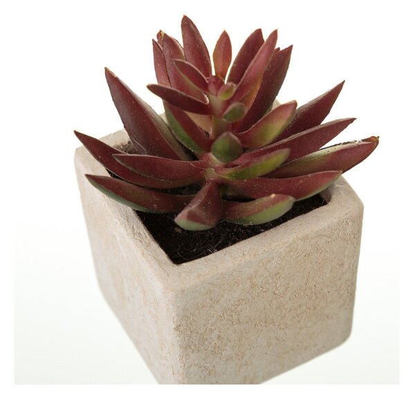 Umelé rastliny v súprave 6 ks (výška 9,5 cm) Cactus – Casa Selección