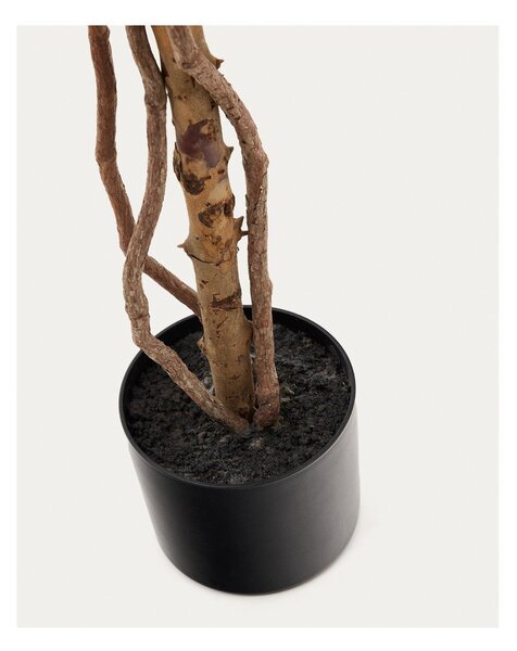Umelý fikus (výška 180 cm) Ficus – Kave Home
