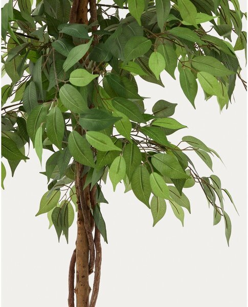 Umelý fikus (výška 180 cm) Ficus – Kave Home