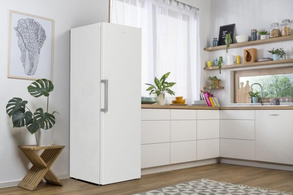 Gorenje RP619EEW5 - Jednodverová chladnička