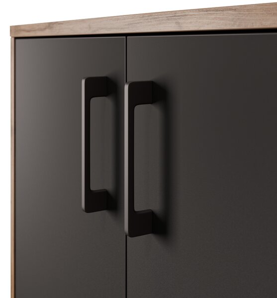 Skrinka NEJBY GIANNI PREMIUM typ 1, korpus: dub wotan, dvierka: antracit