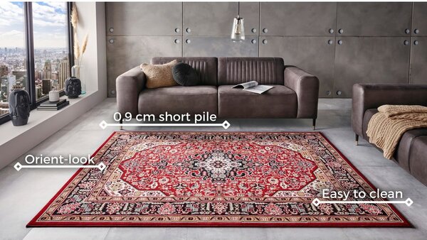 Červený koberec Nouristan Skazar Isfahan, 120 x 170 cm