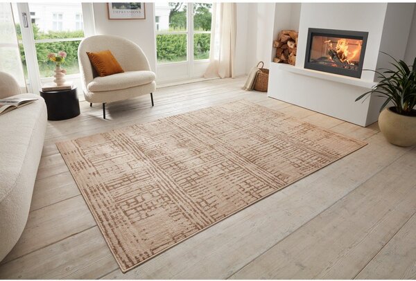 Hnedý/béžový koberec 80x120 cm Terrain – Hanse Home